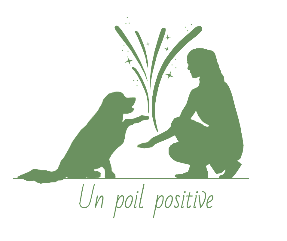 Logo Un poil positive
