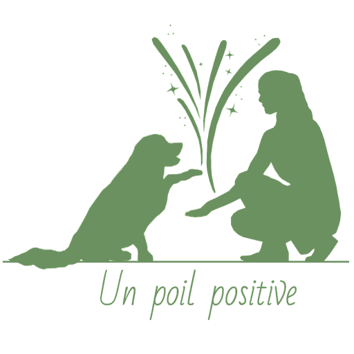 Logo Un poil positive