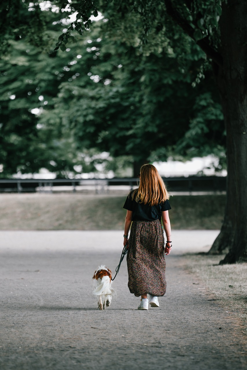 Une femme rousse aux cheveux longs en promenade avec un petit chien en laisse. Promenade et garde d'animaux à votre domicile (chien, chat, NAC, cheval). 