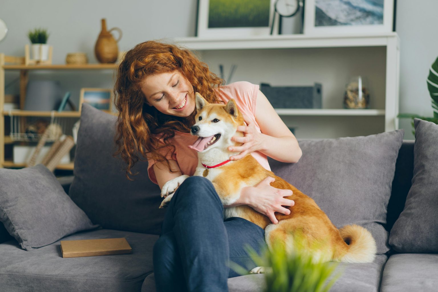 Comment bien accueillir un chiot ou un chien chez soi, à la maison.