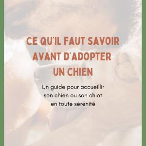 E-book - Ce qu'il faut savoir avant d'adopter un chien ou un chiot
