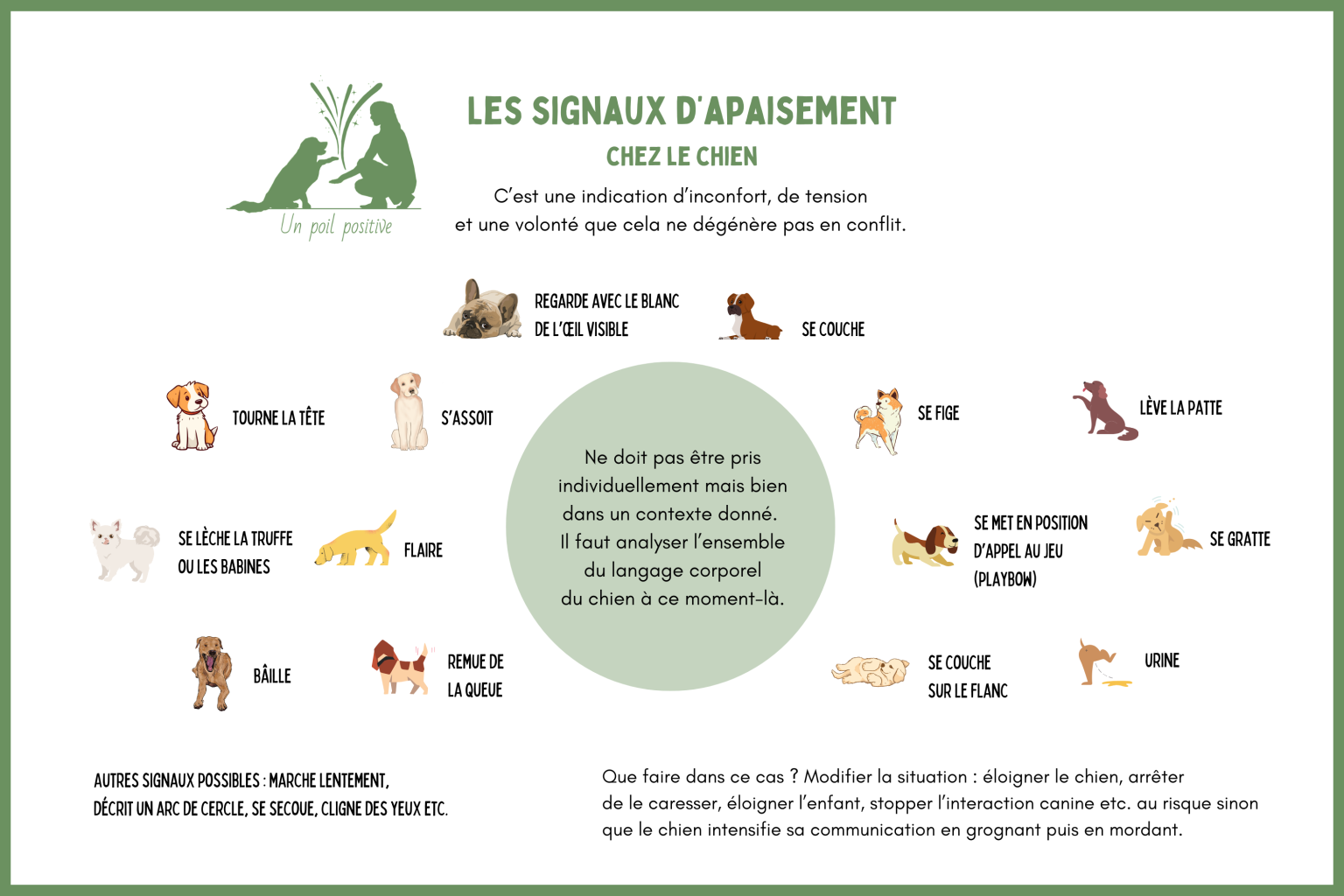 Les signaux d'apaisement chez le chien.