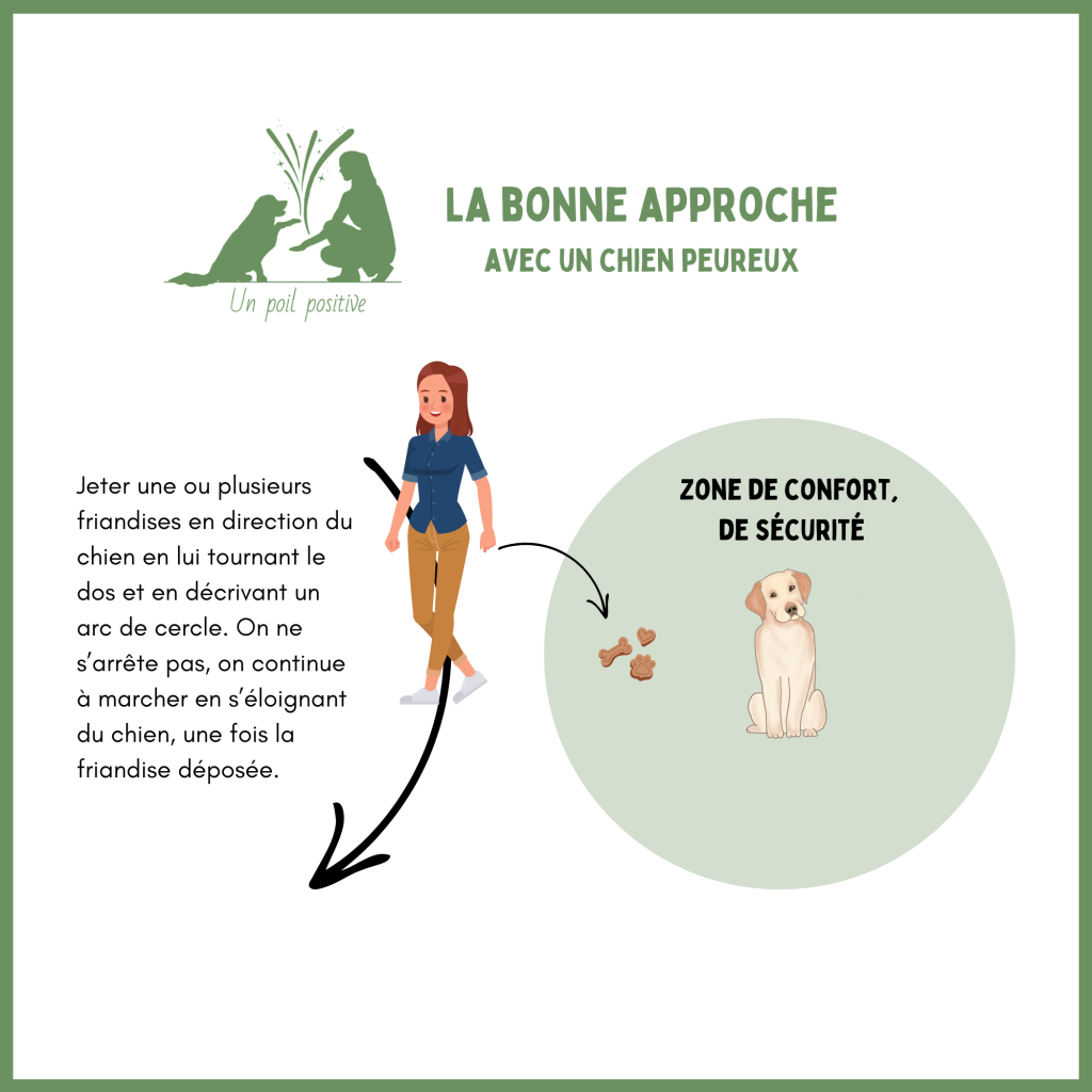 Comment approcher un chien peureux.