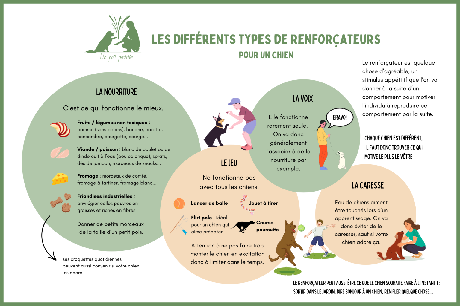 Les différents types de renforçateurs (récompenses, friandises) pour un chien.