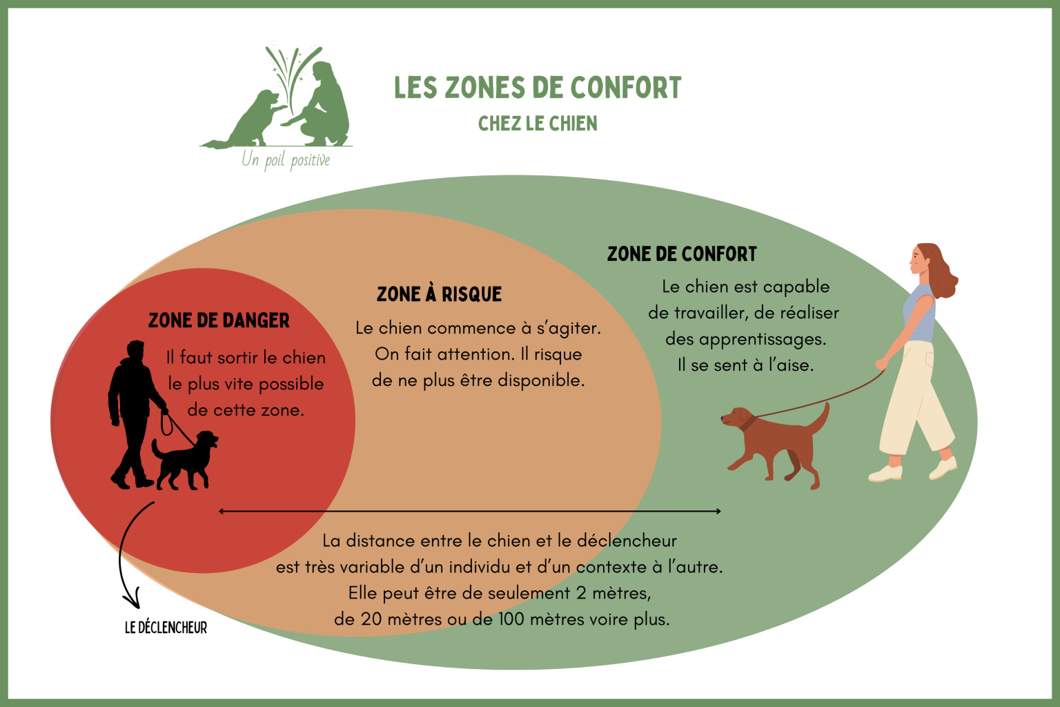 Les zones de confort (proxémie) chez le chien.