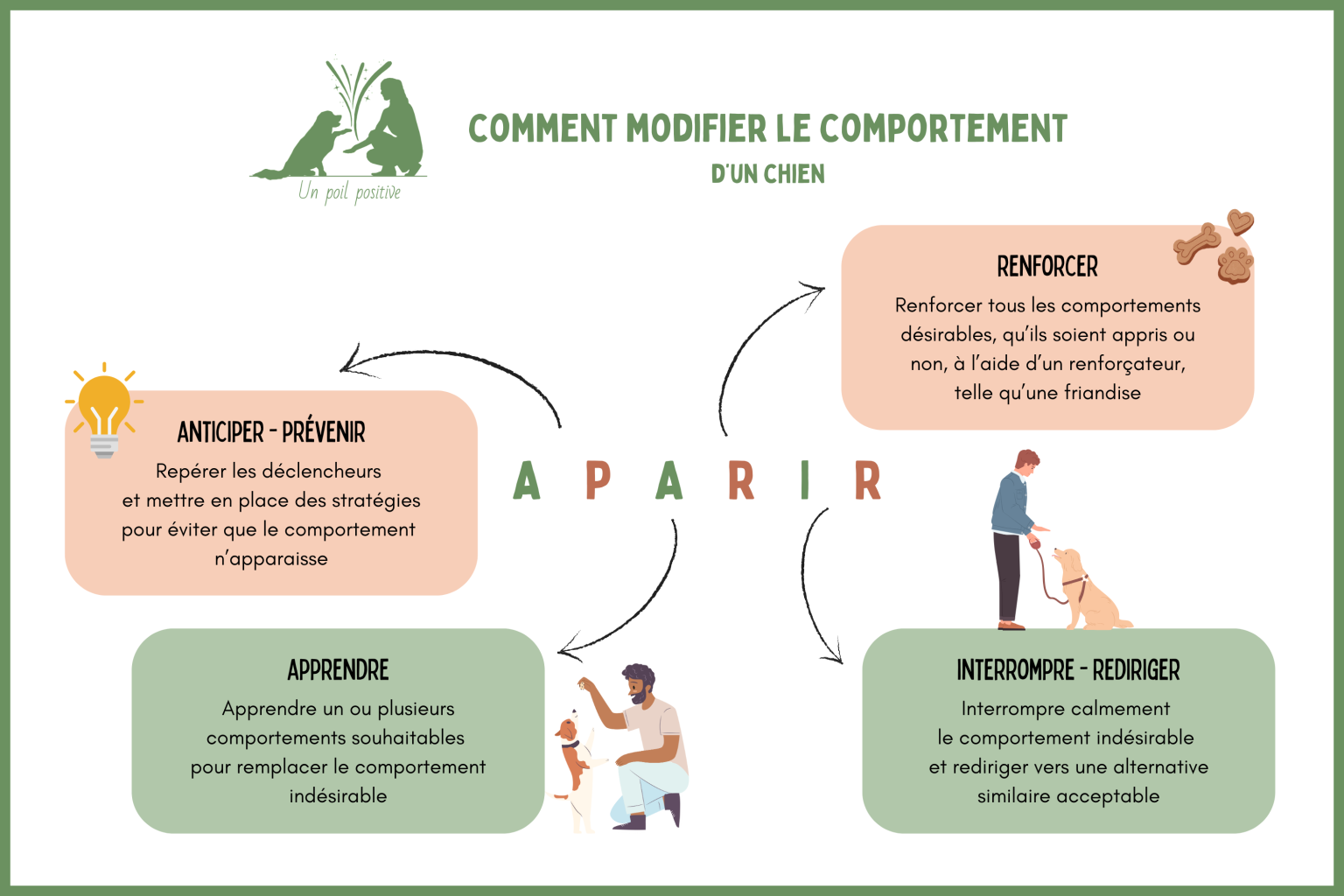 Comment modifier le comportement indésirable d'un chien.