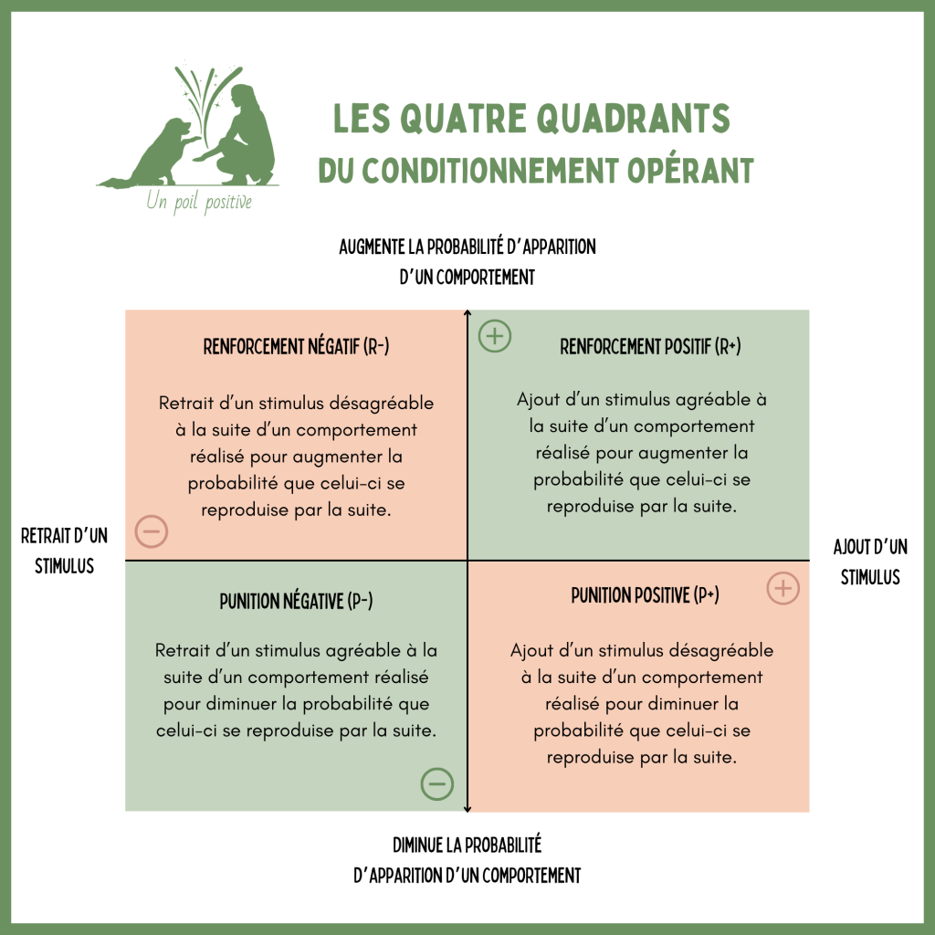 Les quatre quadrants du conditionnement opérant de Skinner, l'une des formes d'apprentissage.