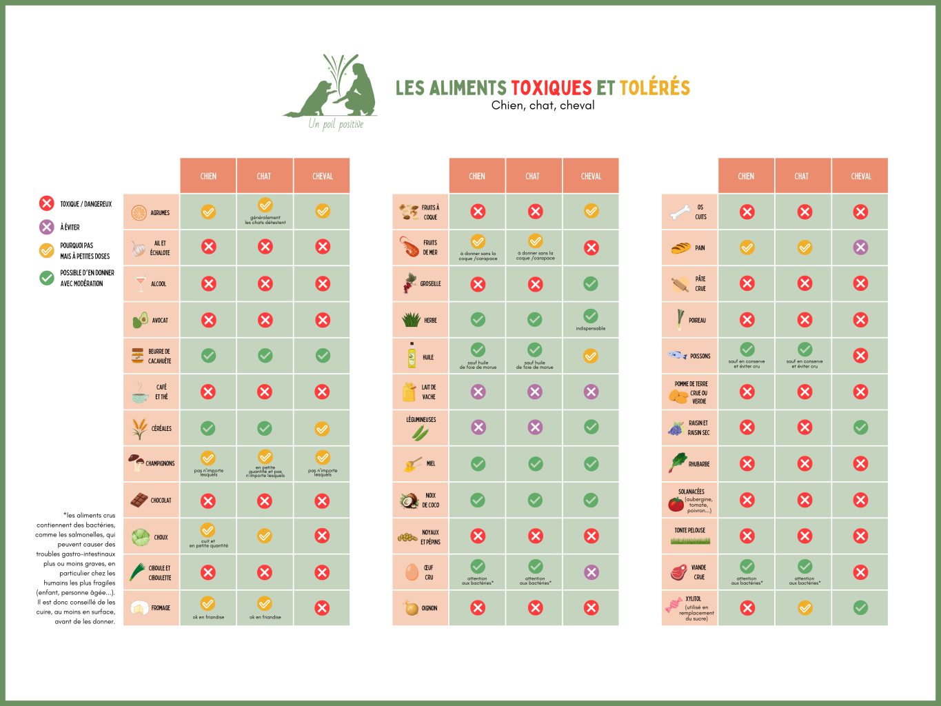 Les aliments toxiques pour le chien, le chat et le cheval.