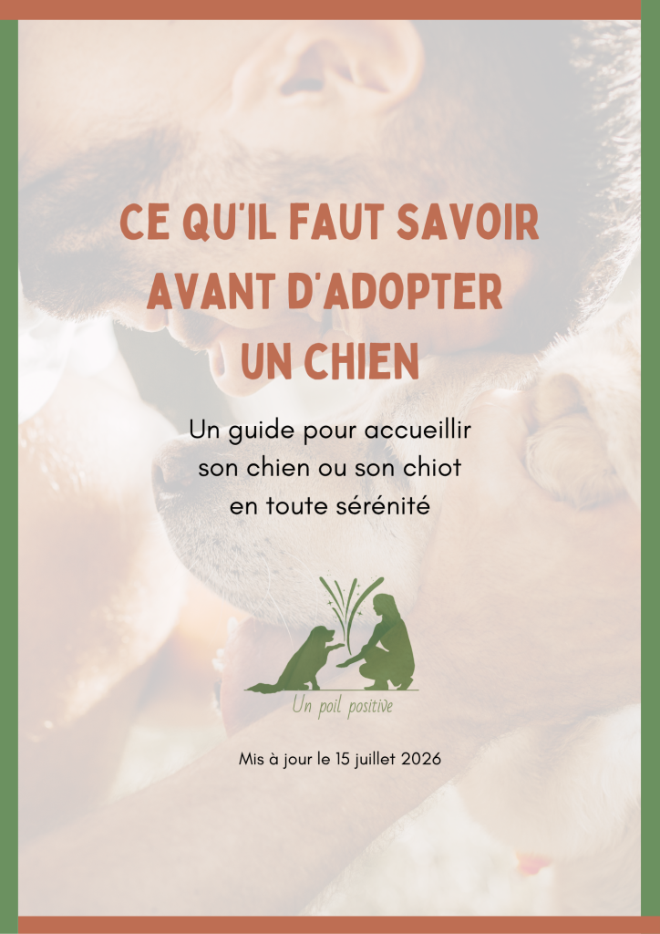 Couverture e-book gratuit ce qu'il faut savoir avant d'adopter un chien ou un chiot